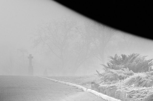 Фотовиставка Вікторії Величко